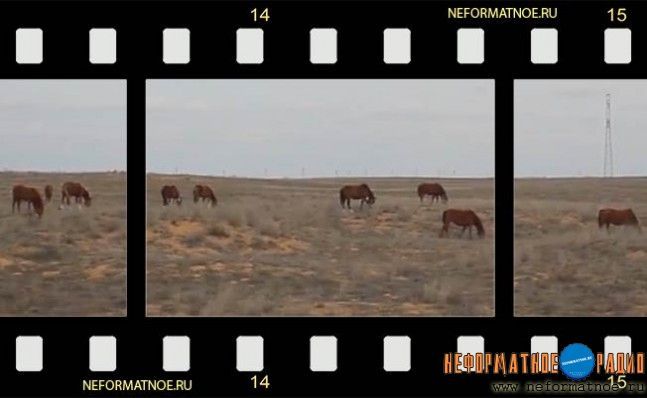 Дядя Алик - Родина Дядя Алик - Родина