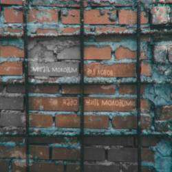 Поляруш и Ко-Музыкант