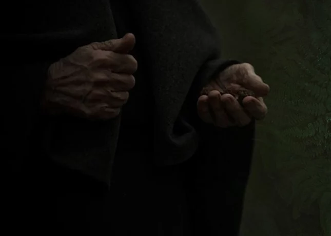 AHTOH SKALD &ndash; Кровь. Сумрак. Чертополох (single 2023)