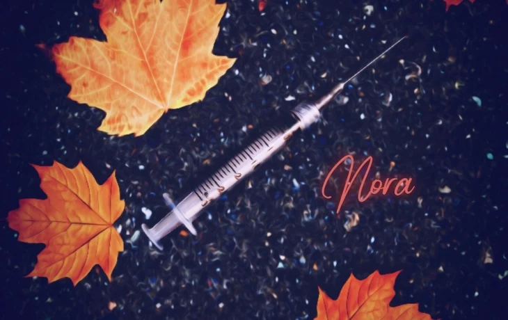 Новый сингл от проекта Nora