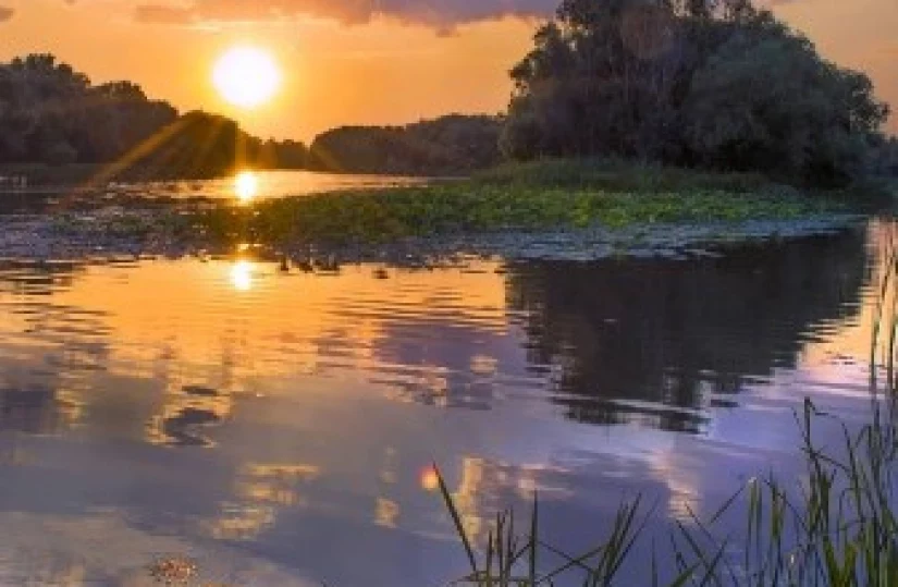 Бор уснул у тихой речки... Бор уснул у тихой речки...