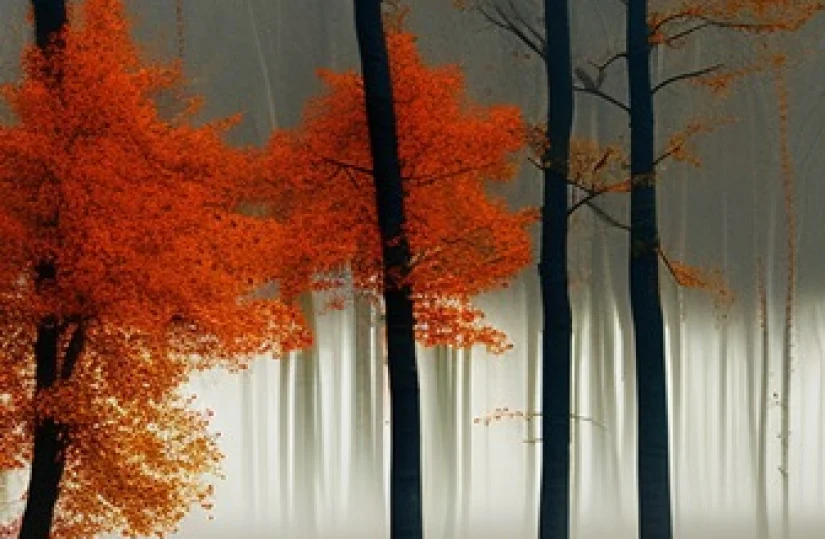 В жёлтой дымке осинка...