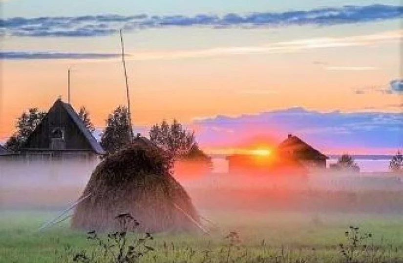 В луга, в луга...