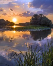 Бор уснул у тихой речки...