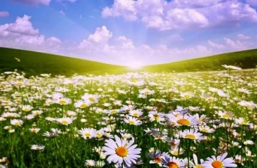 Бежит тропиночка лесная...