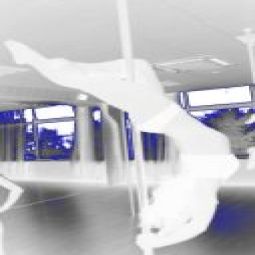 Кровавое поле ромашек