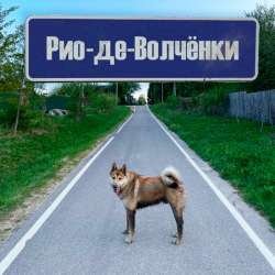 АЛИМЕНТЫ - Рио-де-Волчёнки