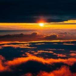 AREST WESKER-INSIGHT 2018