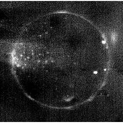 Adrian Mayer - Return Of The Lunar Eclipse