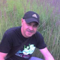 Александр Громов-Черный-Весенний блюз