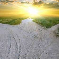 Александр Резанов-Перекрестки