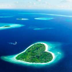 Александр Трофимов-Мой остров