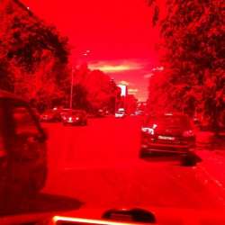 Аморальные песни-Алый парус музе