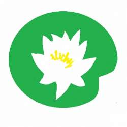 Аморальные песни-Кино Останки-но