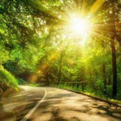 Анатолий Вечёркин-Танец солнечных лучей