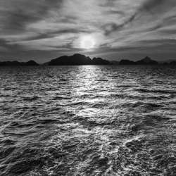 Андрей С-Нарисую лес