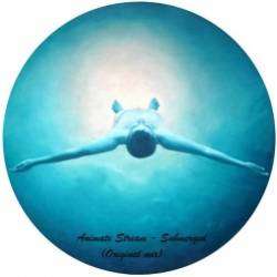 Animate Stream-Submerged