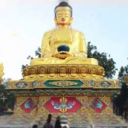 Анна Лев-Лети