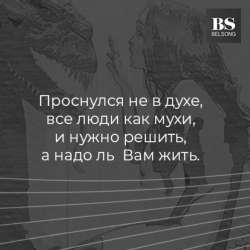 Belsong-Дракон