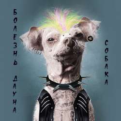 Болезнь Дауна - Собака