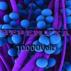 Черемуха-На Рыбалке