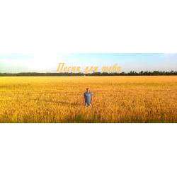 Черепахин amp Charlie W. - Песня для тебя