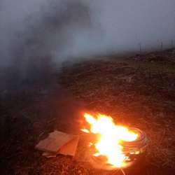 Cirrhosis-Выжигатель