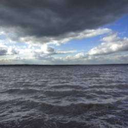 Dioman and Bagart-Dont go