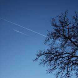 Дмитрий Волошин-Planet Earth