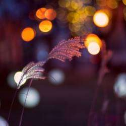 Дмитрий Волошин-Soulmate