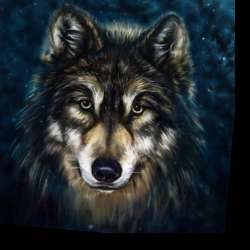 D Angelo-Dr.Andrew - Lie