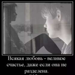 Экспонаты КунсткамерЫ-Катюше А