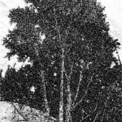 ЕнгалыЧ-Пришли холода