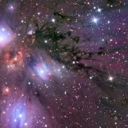 F ROM - Не спорь со мной