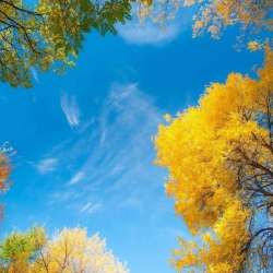 Фёдор Загрядский-Мир