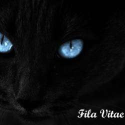 Fila Vitae-Гроза