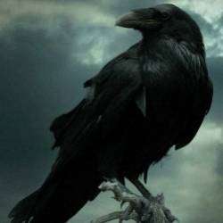 FolkStar-Черный ворон-друг ты мой залетный