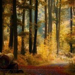 Ганин Валерий-3е ПИСЬМО