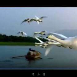 Ганин Валерий-ЛЕТИ ДУША