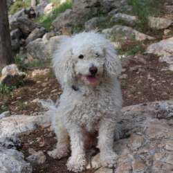 Гильгулим Евгений Кузьмин-Бармаглот