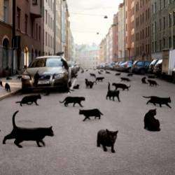 Гитарина-ВЕСНА