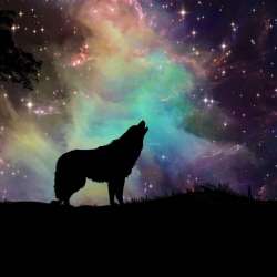 Годун Алексей-Нет