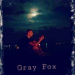 Gray Fox-Revelation