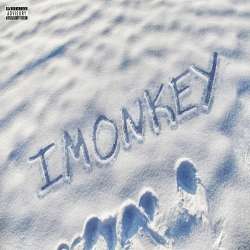 IMONKEY-VK