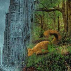 IceThurS-Незапертая дверь