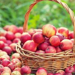 Игорь Махунов-На кухне август