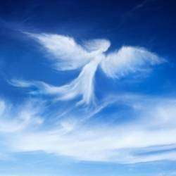 Илья Афанасьев-Ангел мой