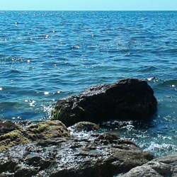 Иван Макаров-Кавер Комплимент морю группа Мистер Икс