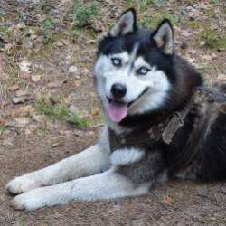 Калоши Счастья-Вечный Кайф