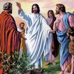 Короткая жизнь-Песня расстаявшего снега